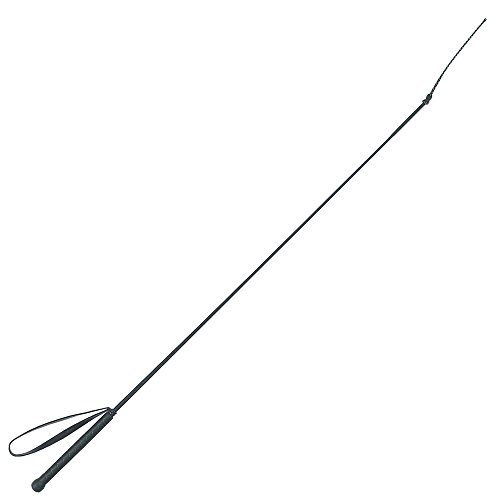 Kerbl Gerte Reitgerte Fiberglas, 100 cm, 32367