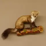 GTK Geweihe & Trophäen Krumholz Marder Baummarder auf AST Präparat Taxidermy Deko Tierpräparat 89.5.206