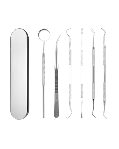 TPZORJX 6er Zahnpflege Set, Zahnarzt Instrumente Zahnarztbesteck Zahnarztspiegel Zahnpinzette Zahnsonde Zahnsteinentferner Edelstahl mit Box，zahnsteinentferner，zahnreinigungsset professionell