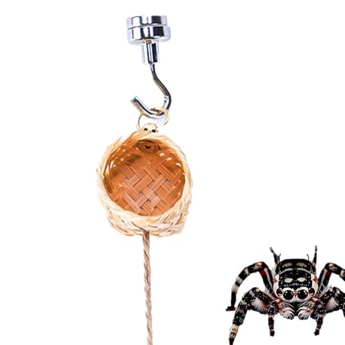 Pet Spider Hide - Handgemachte Spinnenrettung, tragbarer magnetischer Spinnenhabitat | Leichter Naturzaun mit langer Lebensdauer, Holzdekoration für Zuhause