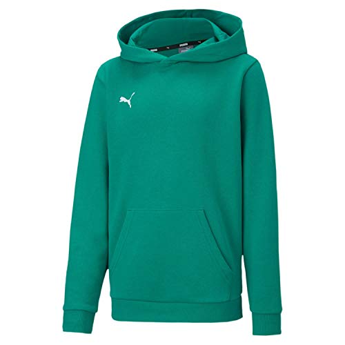 PUMA Unisex Kinder Teamgoal 23 Casuals Hoody Jr Hoodie, Pepper Green, 164