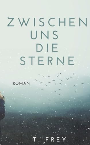 Zwischen uns die Sterne: New Adult Roman