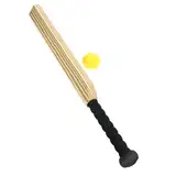LOORGVEL 1Satz Interaktives Cricket für Cricketschläger und Ball für Indoor und Outdoor Sport Fördert Soziale Fähigkeiten und Motorische Koordination