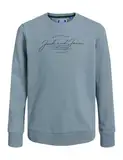 JACK&JONES JUNIOR JJFERRIS Sweat Crew Neck JNR