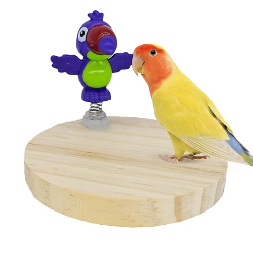 Vogelsitzstange,Sitzstangen Für Großvögel - Natürliches Kauspielzeug Spielplatz Zubehör Für Sittiche Hühner Tauben & Indoor Vögel