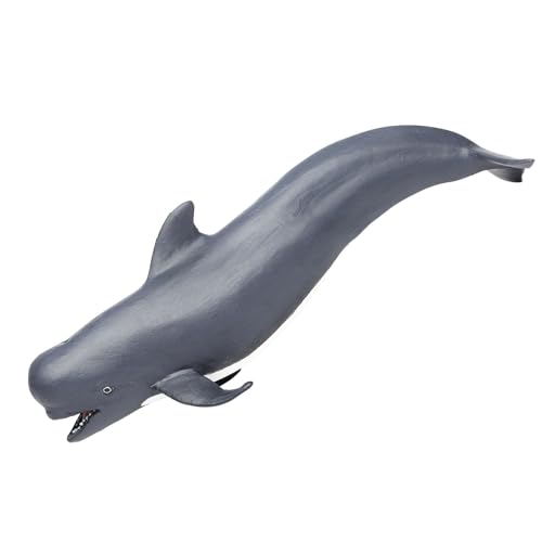 Safari Pilot Whale