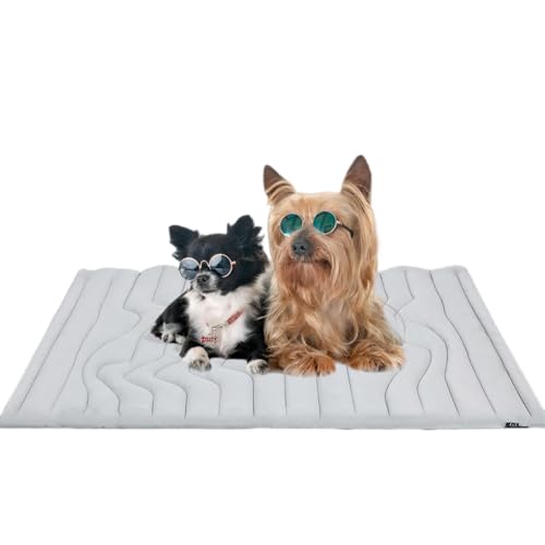 SWZEC Dr Pfoten Pfotenchill Die Innovative Kühlmatte Für Hunde