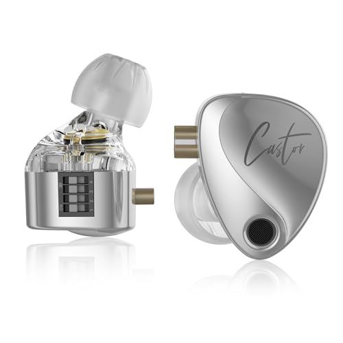 KZ Castor iem, kz In-Ear-Monitor-Kopfhörer mit zwei dynamischen Treibern für Musiker, Sänger, stimmbare In-Ear-Kopfhörer mit 2DD-Treibern, Einstellschalter, Silikon-Ohrstöpsel (Standard-Version)