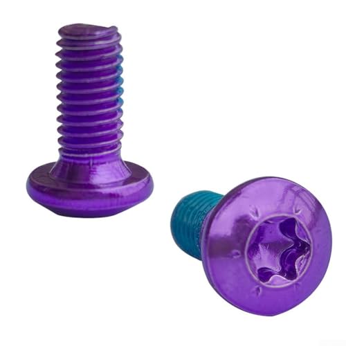 Fahrradwartungs-Set mit 12 Torx-Schraubverschlüssen M5 x 10 mm T25