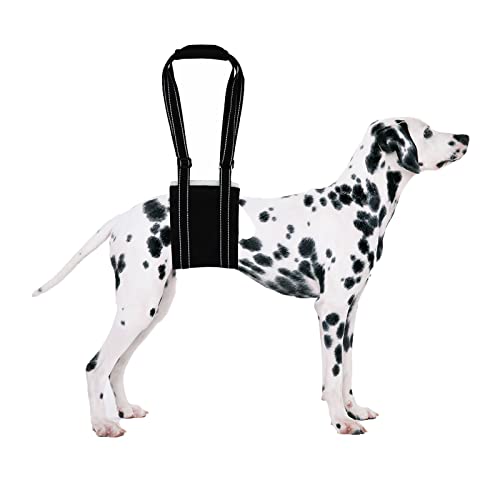 Hundegeschirr Tragehilfe Einstellbar Hunde Gehhilfe Weiche Rehabilitation Tragegurt für Kleine Mittel Große Hunde Schwache Hinterbeine Senior Verletzte Behinderte (L)