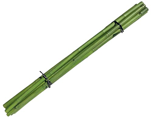Bambusstab 200cm grün gefärbt mit 3,8 bis 5cm, Apus Bambus von bambussi.com