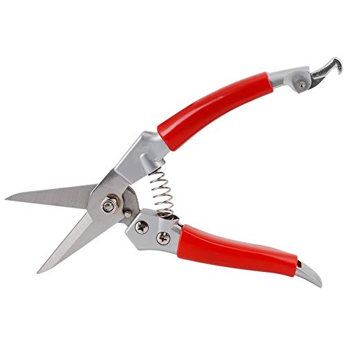 Zhangpu Gartenarbeit Pflanze Beschneiden Schere Gerade Gartenschere Hand Pruner Gras Schere (Malvorgang)