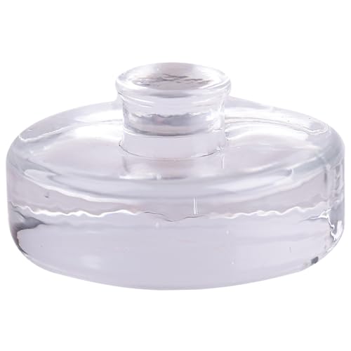 SHITOOMFE Glasgewichte für Fermentation, 230 g Fermentationgewichte mit Griff transparent 2,8 -Zoll