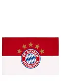 FC Bayern München Fahne I Logo I Rot-Weiß I 90 x 60 cm I Fußball