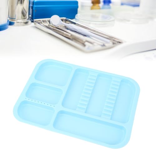 Topyond -Kunststofftabletts, 1 PC -Spritzenschalen -Organizer, geteilter Fachfachhalter, haltbarer Kunststoff mit hoher Temperatur für Botoxinjektionen, Kosmetikerinnen,