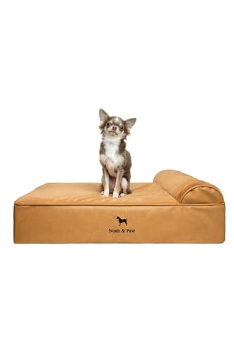 NOAH & PAW Hundebett, orthopädisches Hundebett für mittelgroße Haustiere, Eierschalen-Memory-Schaum mit Kühlgel, wasserdicht, maschinenwaschbar, inklusive Innenbezug (veganes Leder)