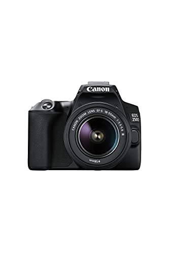 Canon EOS 250D Digitalkamera - mit Objektiv EF-S 18-55mm F4-5.6 IS STM (24, 1 Megapixel, 7, 7 cm (3 Zoll) Vari-Angle Display, APS-C-Sensor, 4K, Full-HD, DIGIC 8, WLAN, Bluetooth), schwarz