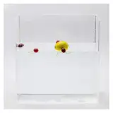 Acryl-Wassertank, Fotografie-Aufhängungs-Requisiten, Aufnahme von flachem Wassertank, HD-transparenter Fischtank, Schaukasten-Wassertank, schwimmende Fotografie-Requisiten, Aufnahmetablett(40x23x27cm/