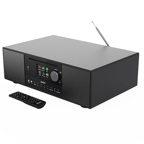 Internetradio mit CD Player & Bluetooth | 120W 2.1 Stereo DAB+ Küchenradio mit Eingebauter Subwoofer | Internet Radio WLAN mit Spotify Connect, Podcasts, FM | Farbdisplay | MAJORITY Quadriga (Schwarz)