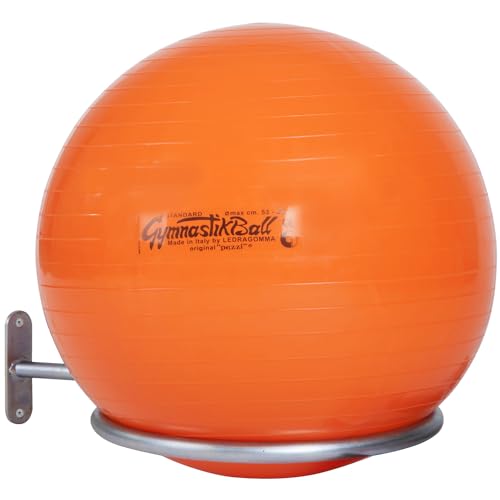 Sport-Thieme Gymnastikball Halterung | Wandhalterung für Bälle mit 45-90 cm | Für Sitzbälle, Pezzibälle, ABS Powerballs und Fußbälle im Netz | Nutzlast ca. 4 kg | Verzinktes Stahlrohr