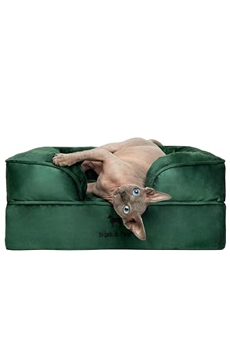 NOAH & PAW Kleines Hundebett, 50,8 x 38,1 x 20,3 cm, Katzenbett für Indoor-Katzen, orthopädischer Eierschalen-Memory-Schaum mit kühlendem Gel, wasserdichter Innenbezug, maschinenwaschbar (Velvet
