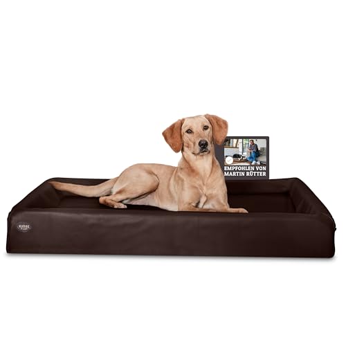 SABRO KUDDE Orthopädisches Hundebett – Martin Rütter – Hochwertiges Kunstleder – Waschbar & Wasserabweisend – Ergonomisch – Premium Haustierzubehör für Mittelgrosse, Grosse Hunde L in Dunkelbraun