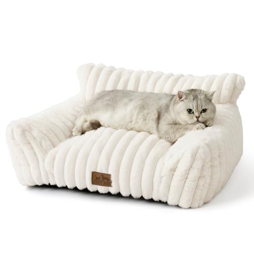 COZY KISS Katzenbett Flauschig für Große Katzen, Waschbar Katzensofa Katzenschlafplatz für Kleine Hunde, Plüsch rutschfeste Haustierbett (65x44x30cm, Creme)