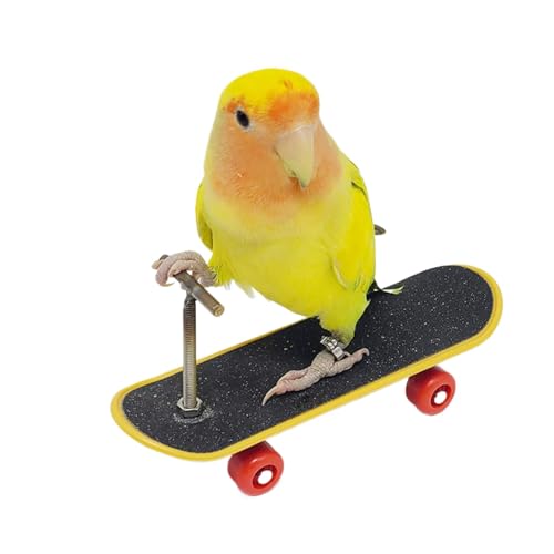 -Trainingskateboard - Bildungsständer | Vogelspielzeug Intelligenz | Interaktive Intelligenz Haustiervorräte | Bird Toys Intelligence Verbesserung Der Haustierversorgung Für Die Entwicklung