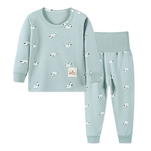 YANWANG 100% Baumwolle Baby Kinder Schlafanzüge Jungen Mädchen Pyjamas Set Langarm Nachtwäsche(Green-Zebra,Tag60/2-3 Jahre)