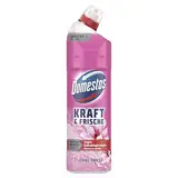 Domestos Kraft & Frische WC Gel Floral Fresh Reinigungsmittel mit frischem Blumen-Duft für hygienische Sauberkeit 750 ml 1 Stück