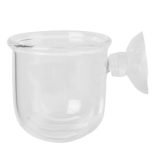 BESPORTBLE Glas-fischfutterspender-Set Zubehör für Fischfutter für Zuhause oder Das Aquarium Im Zoogeschäft