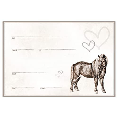 ZAUBERBILD Boxenschild Stallschild Stalltafel Namensschild Pferd 'Shetland Pony' 20x30cm Alu