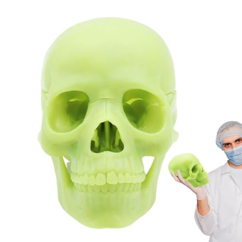 Menschliches Schädelmodell, Schädelmodell, 15-teiliges, lebensgroßes, abnehmbares menschliches Schädelmodell, Anatomisches Modell des menschlichen Kopfschädels, gefälschtes