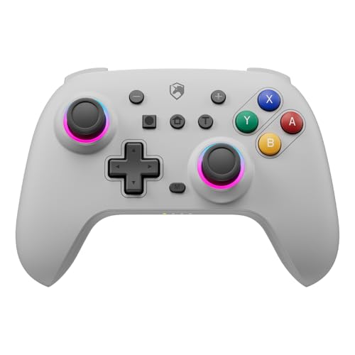 ECHTPower Switch Controller Retro Design, Switch RGB Pro Controller mit Hall Joystick, Turbo, Programmbare Taste, Vibration, 6-Aschen, 2024 Wireless Controller für Switch/Lite/OLED/PC/Android/iOS-Grau