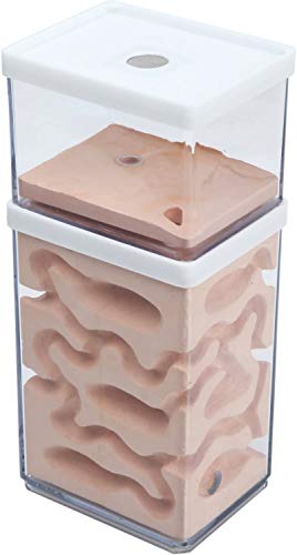 aleawol Natürliche Ameisenfarm Ameisennest Formicarium aus Gips Transparentes Ameisenhaus Ameisen Zucht Box Ameisen Terrarium Ant House Ant Farm Ant Nest Habitat