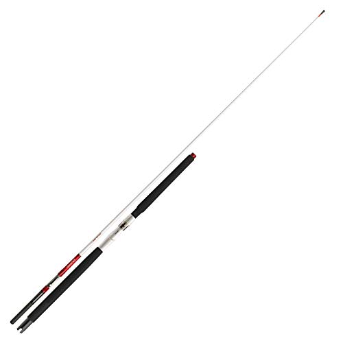 Daiwa SEALINE-Z Interline 15-30lbs 2,35m Inliner Rute Norwegen