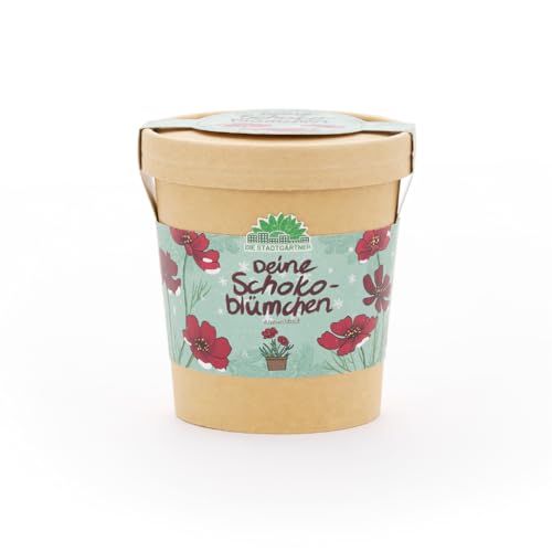 Anzuchtset für Schokoblumen von "Die Stadtgärtner" | Schokoladenblume Starter-Set inkl. Pflanzbecher, Saatgut und Kokoserde | Tolle Geschenk-idee für Schokoladenliebhaber, Garten-Freunde & Kinder