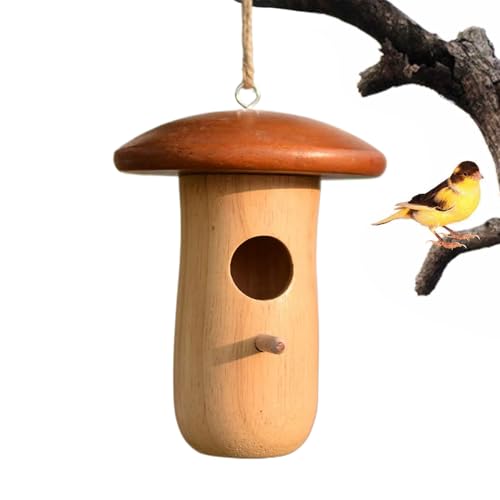 Kolibris | Box mit Anhänger für Vögel – dekorative Kabine in Form eines Pilzes für Garten, Terrasse, Baum und Balkon – Refugium für Tiere im Freien und Dekoration für Haustiere