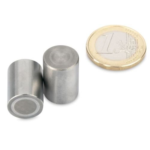 magnets4you - AlNiCo-Stabgreifer | Ø 10x16 mm | Haftkraft ca. 900 g | Stahlpassung mit Toleranz h6 | Extrem Hitzebeständig bis zu 450°C