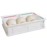LUNEDA 1 Behälter für Hefeteig, Behälter aus Polyethylen-Kunststoff für Teig, Pizzateig, Brot 12 Liter, hergestellt in Italien, 30 x 40 x 10 cm (nur Schale)