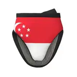 1 x Mini-Silikon-Ofenhandschuhe, Topflappen-Set mit Singapur-Flagge, hitzebeständig, ideal zum Backen, Kochen und Camping