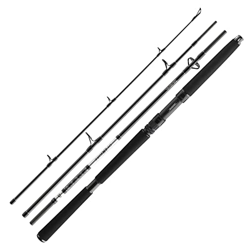 Daiwa BG Offshore Travel Pilk 2,25m 150-500g Reiserute