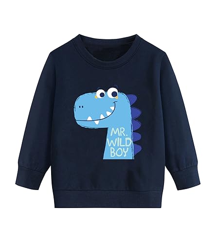 DHASIUE Baby Jungen Sweatshirts Baumwolle Tops Pullover Kinder Jungen Kleinkind Winter Warme Langarm Shirts Oberteilung Dinosaurier Blau 2 Jahre 92