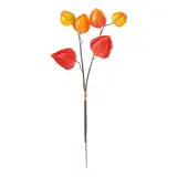 DPI Physalis Zweig mit 6 Lampionblüten, 32 cm lang, Dekozweig für Herbstdeko, künstliche Pflanzen, Herbstdekoration