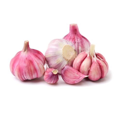 Violetter Knoblauch | Frischer Lila Knoblauch aus Spanien (5 Stück)