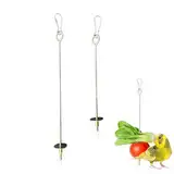 2 Stück Edelstahl Vogel-Spieß für Papageien Vogel Obst Halter Edelstahl Obst- und Gemüsehalter Frucht Gemüse-Spieß Werkzeug für Vögel Papageien, Wellensittiche,Gemüse und Futtersuche Spielzeug