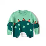 HIKIDS Jungen Pullover Weihnachten Dinosaurier Grün Kinder Strickpullover Baby Baumwolle Langarm Strickjacken Strick Sweatshirt 116