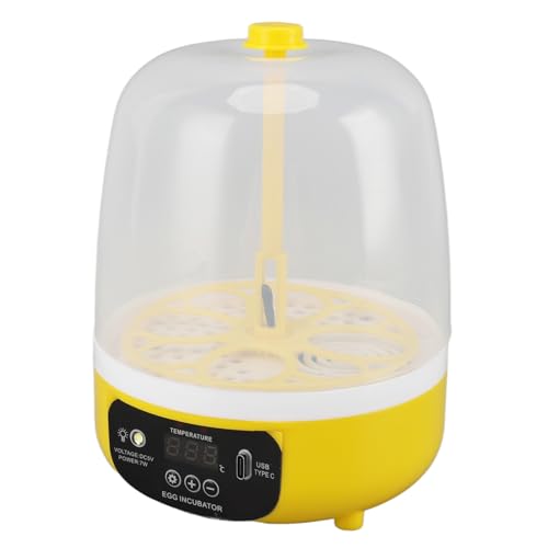 4-Eier-Inkubator, Temperatur- und Feuchtigkeitskontrolle, Optisch, Geräuscharm, Energiesparend, USB-Mini-Geflügelbrüter für die Aufklärung von Kindern zu Hause, Schlüpfen und