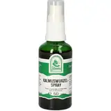 Kalmus Spray, Ahornstabgewächse, Araceae, Kalmuswurzel 50 Milliliter