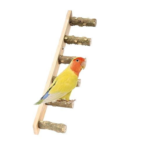 Leiter Vogel Spielzeug Papageien Leiter Vogelspielzeug Spielzeug Holzleiter Hölzerne Strickleiter Hamster Wooden Ladder Papagei Holz Kletterleitern für Kleine Bis Mittlere VöGel